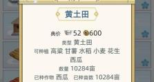 古代女医生存档的继承方式（传承古代医术的方法及其价值）