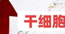 十波兵4.85攻略（揭秘十波兵4.85版本中的战略要点与技巧）