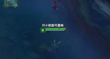 黑魔法阿里出装顺序攻略（深入分析黑魔法阿里的装备选择与顺序，助你在游戏中取得优势）