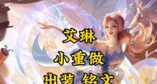 完美攻略（打造最强艾琳，从装备与技能加点出发）