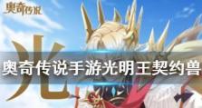 《光明传说角色搭配技能攻略》（打造最强战斗阵容优势技能搭配一览）