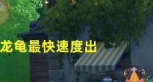 龙龟符文出装攻略——打造无敌坦克（龙龟符文出装攻略）