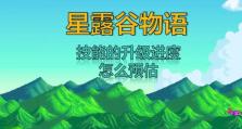灵风技能升级攻略（解析灵风技能升级的关键策略，助你在战场上一风之力！）