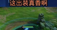 夏侯惇新手攻略（熊熊怒火引燃战场，夏侯惇如何选择最佳装备？）