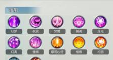 梦幻飞升技能选择攻略（从技能搭配、装备选择到提升效率，助你一步登天！）