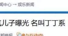 揭秘海归真相游戏攻略的神秘面纱（海归真相游戏攻略）