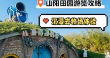 露营游乐园游戏攻略（大自然、露天营地、户外游玩、生存技巧）