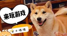 柴犬虚拟宠物游戏攻略（用关爱与耐心，让你的虚拟柴犬成为最快乐的宠物）