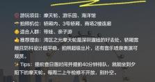 摩天轮小游戏攻略（掌握关键技巧，成为摩天轮王者！）