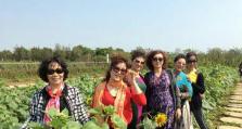 《美女与花园农场游戏攻略》（打造梦幻农场，收获爱情与快乐）