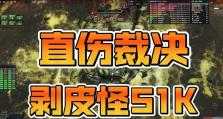激战2直伤剑枪全息师输出循环攻略（掌握全息师输出，成为战斗之王）