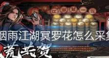 《烟雨江湖水上漂详解》（学会这一招，让你在江湖中游刃有余）
