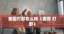 《怒翼龙的完美出装攻略》（掌握关键装备，打造无敌战斗力）