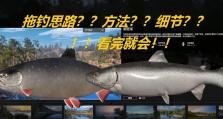 《俄罗斯钓鱼4攻略大全》（从装备选择到技巧讲解，带你成为钓鱼高手！）